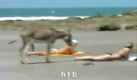 Rất dit gai dep nhat ban buồn cười, người phụ nữ da đen sẽ được 2