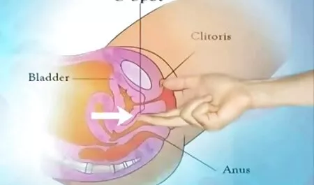 Vì gái dâm nhật bản vậy, và chỉ một cái nhìn